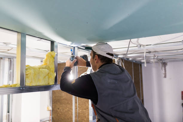 Best Insulation Installation Services in Albany, MN