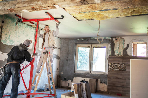 Best Insulation Maintenance and Repair in Albany, MN