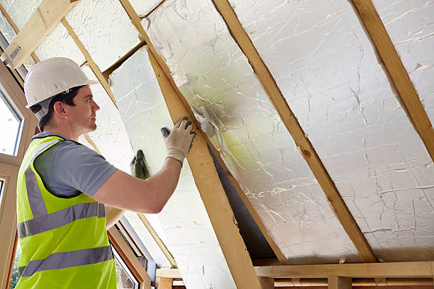 Best Types of Insulation in Albany, MN